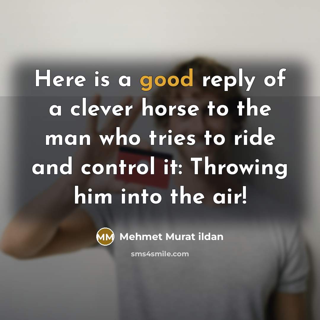 “Here is a good reply of a clever horse to…” quote by Mehmet Murat Ildan