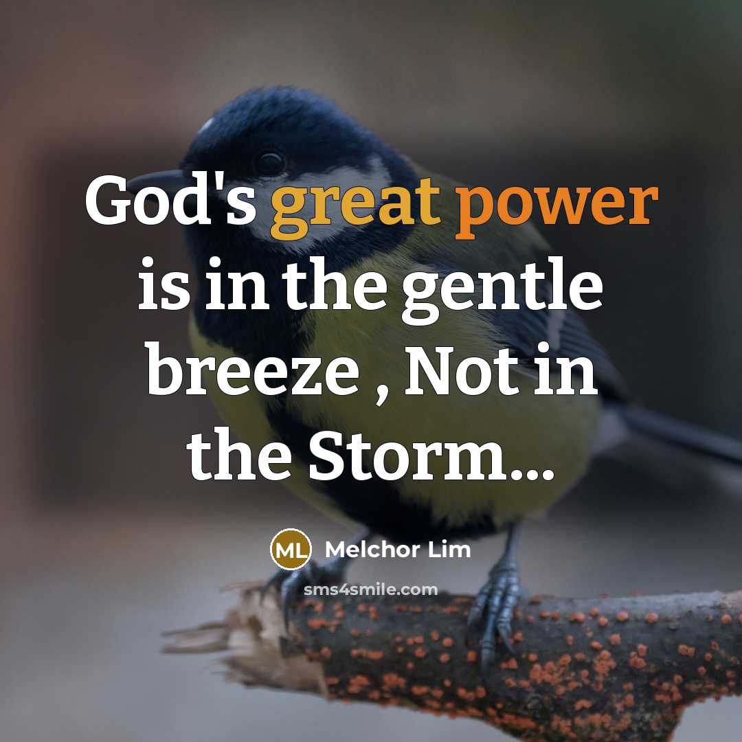 “God's great power is in the gentle breeze , Not…” quote by Melchor Lim