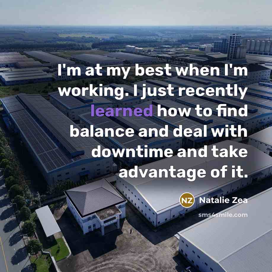 “I'm at my best when I'm working. I just recently…” quote by Natalie Zea