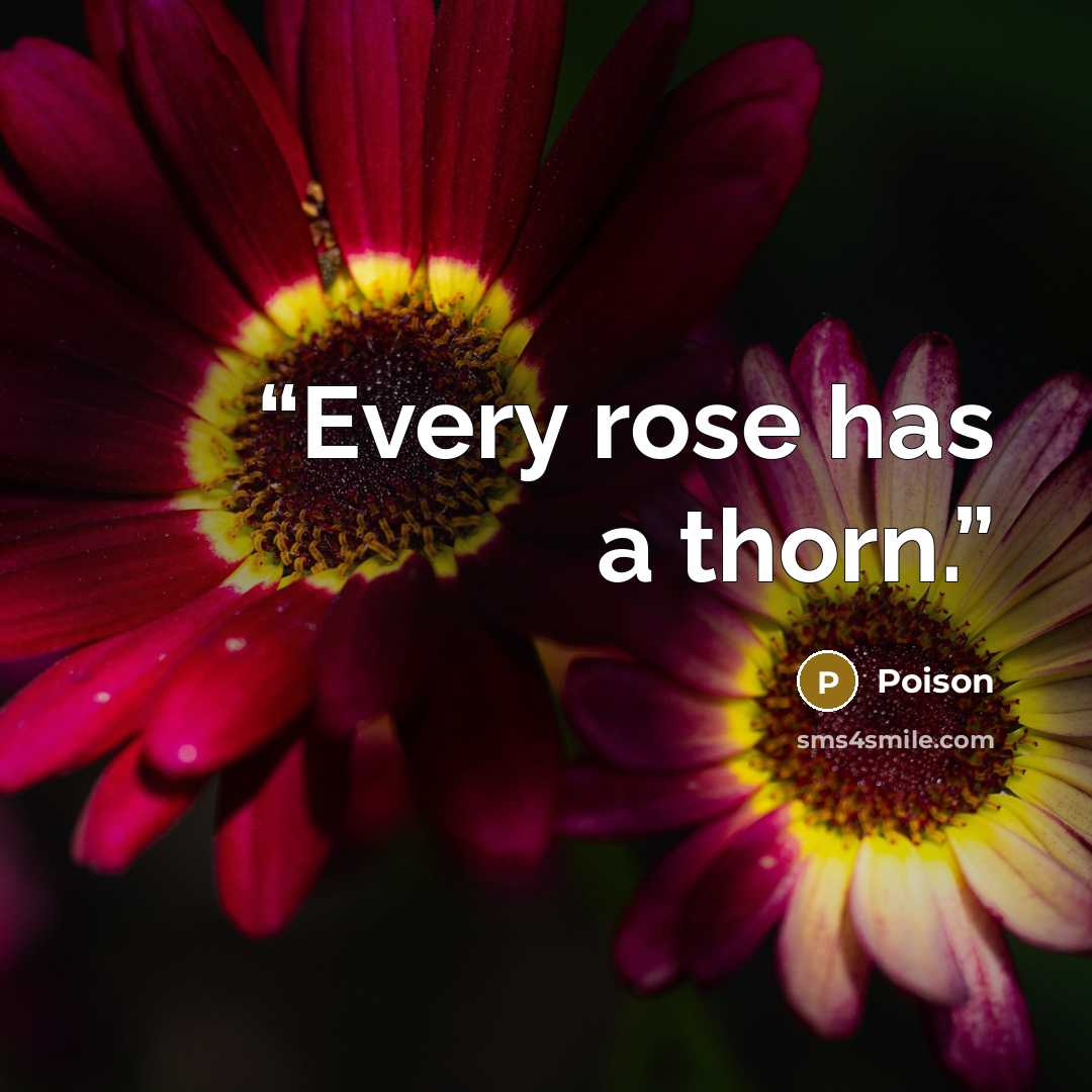 “Every rose has a thorn.” quote by Poison