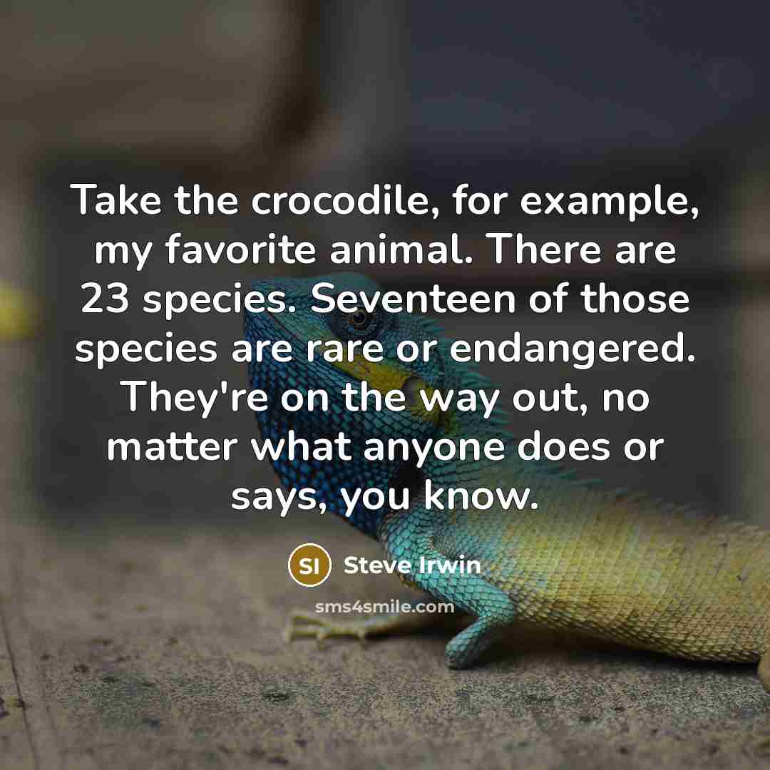 “Take the crocodile, for example, my favorite animal. There are…” quote by Steve Irwin