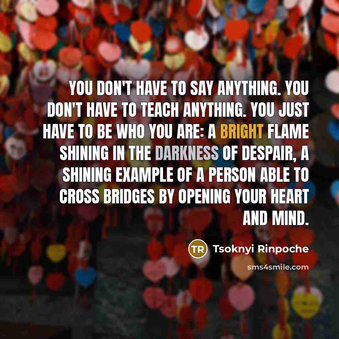 “You don't have to say anything. You don't have to…” quote by Tsoknyi Rinpoche