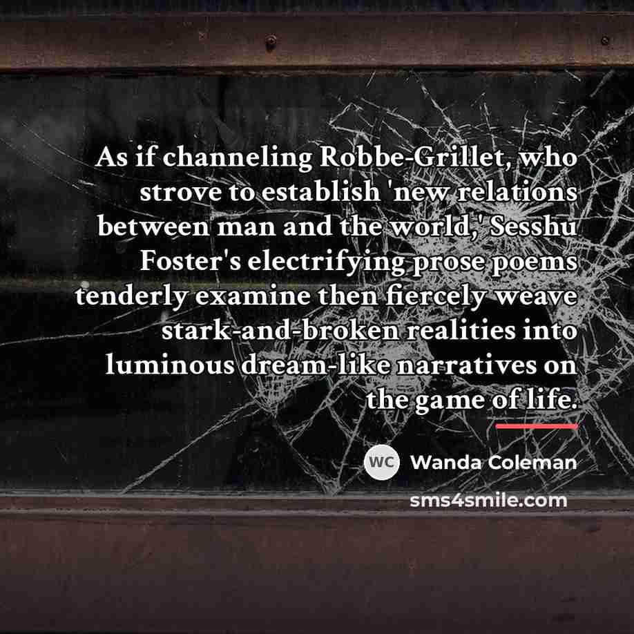 “As if channeling Robbe-Grillet, who strove to establish 'new relations…” quote by Wanda Coleman