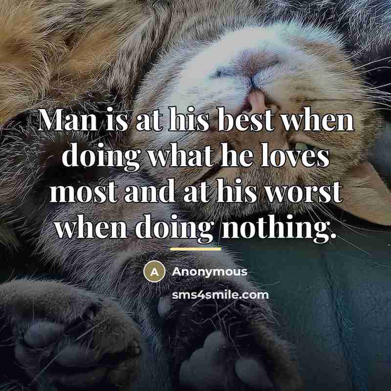 “Man is at his best when doing what he loves…” quote by Anonymous