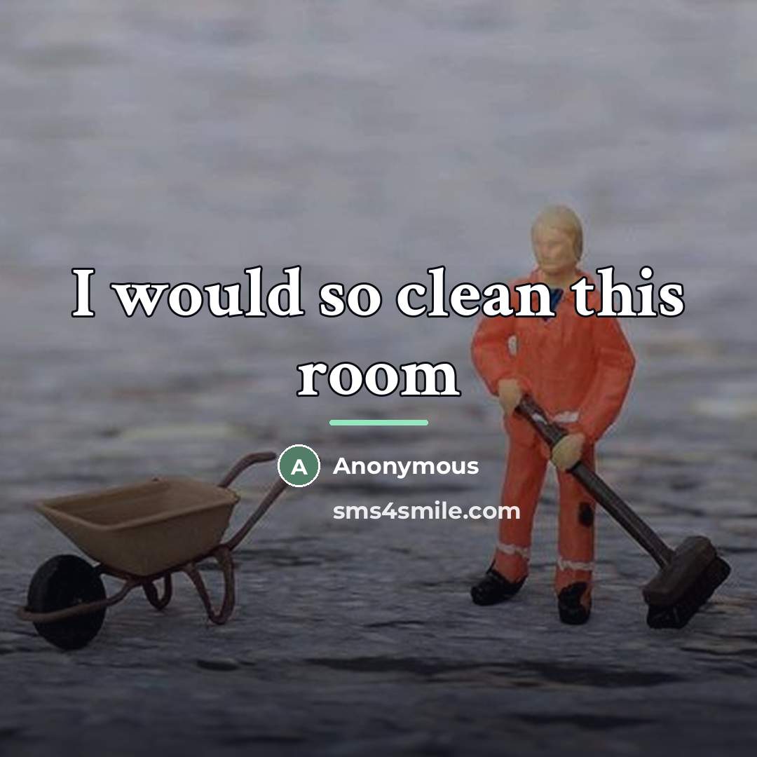 “I would so clean this room…” quote by Anonymous