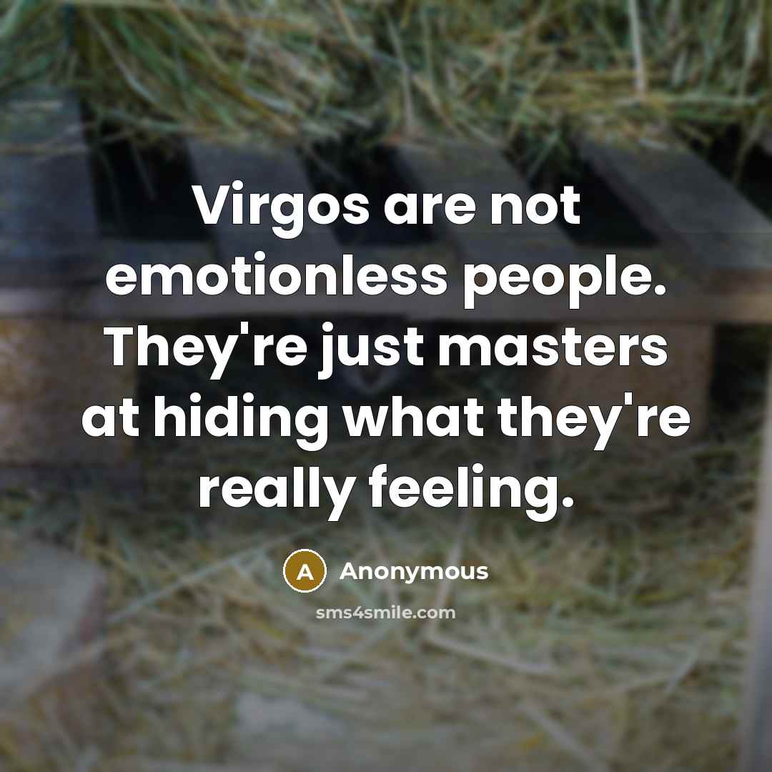 “Virgos are not emotionless people. They're just masters at hiding…” quote by Anonymous
