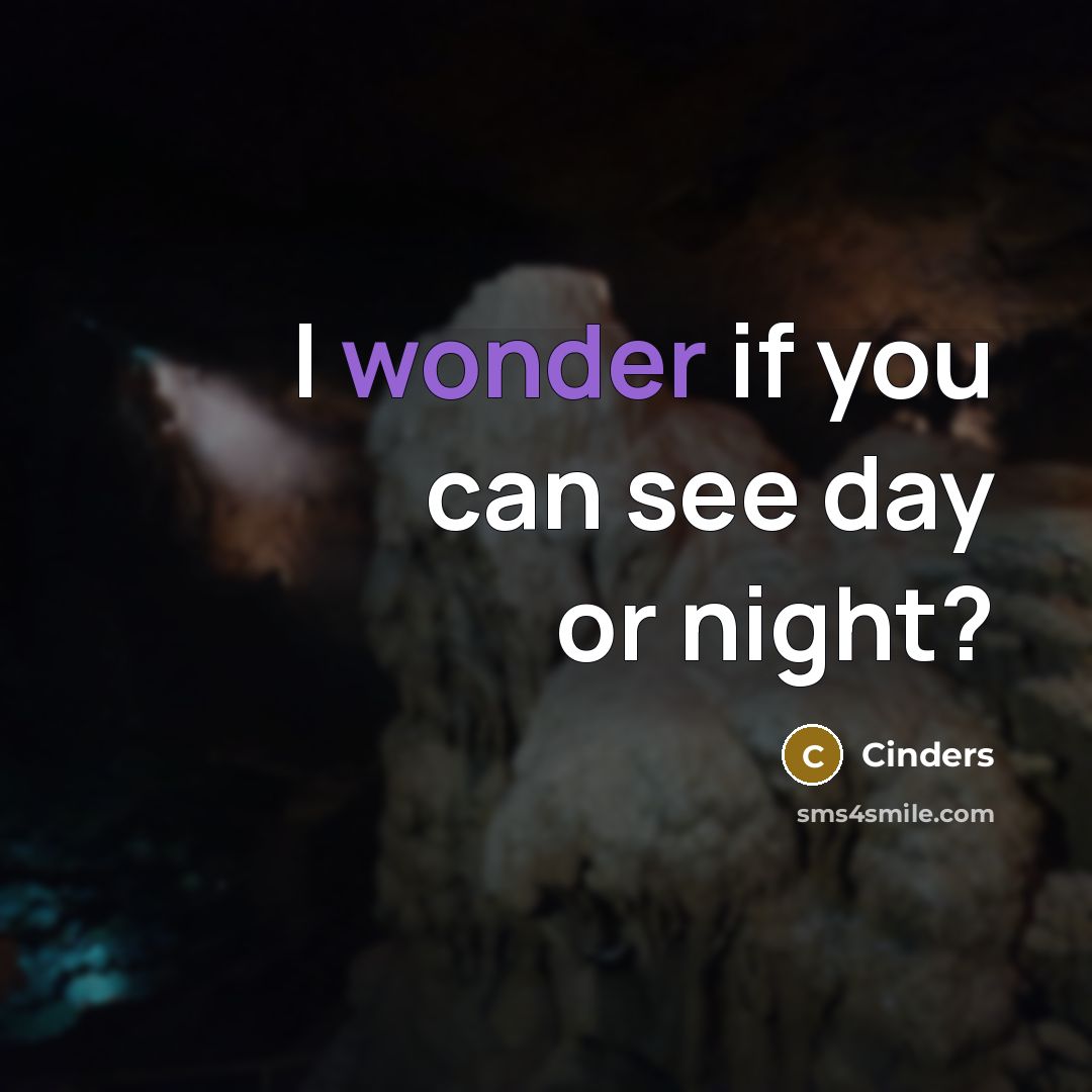 “I wonder if you can see day or night?” quote by Cinders