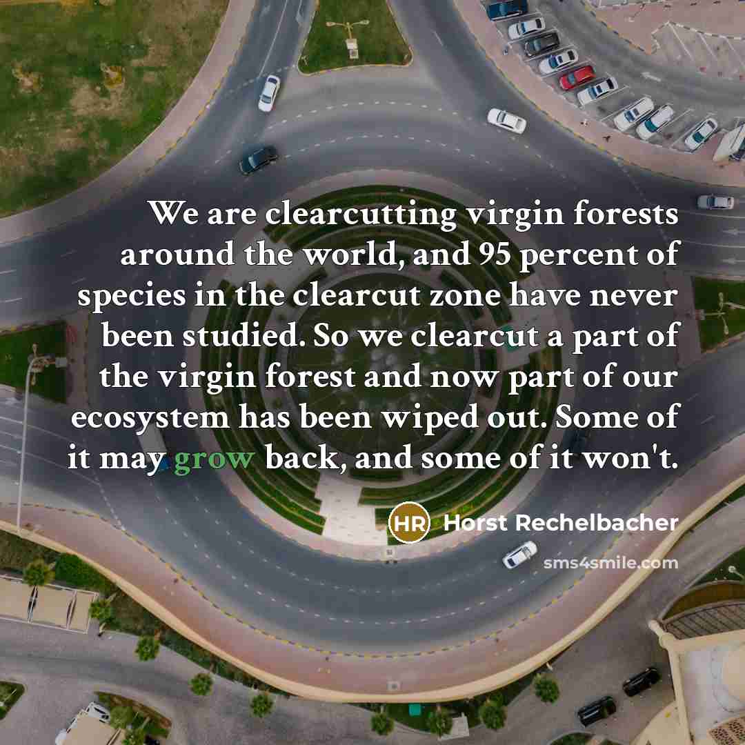 “We are clearcutting virgin forests around the world, and 95…” quote by Horst Rechelbacher