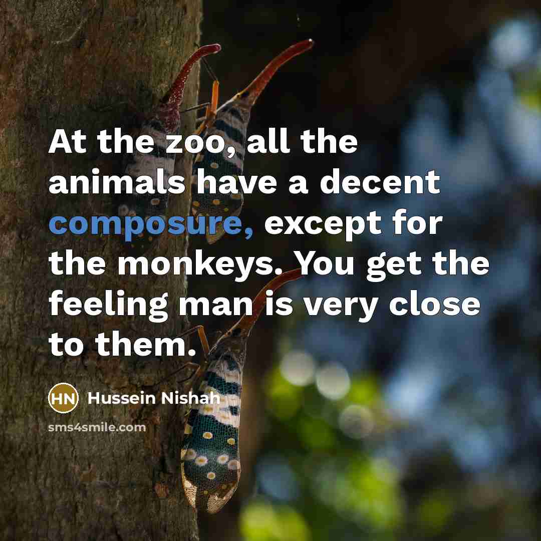 “At the zoo, all the animals have a decent composure,…” quote by Hussein Nishah