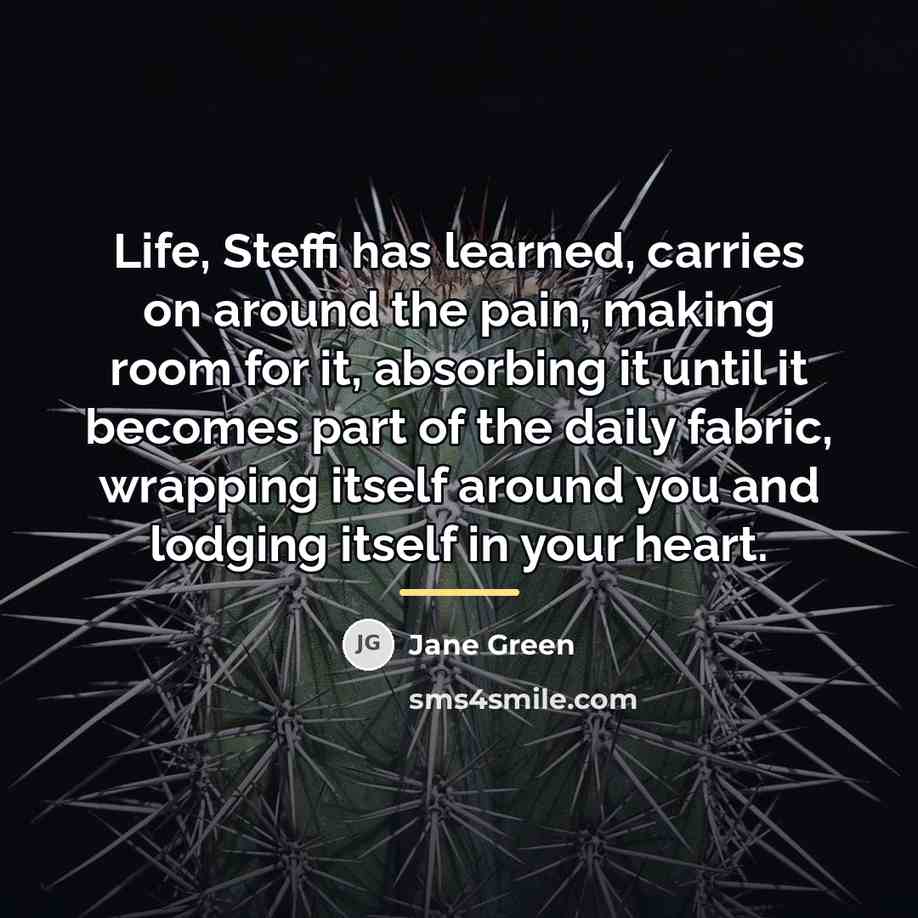 “Life, Steffi has learned, carries on around the pain, making…” quote by Jane Green