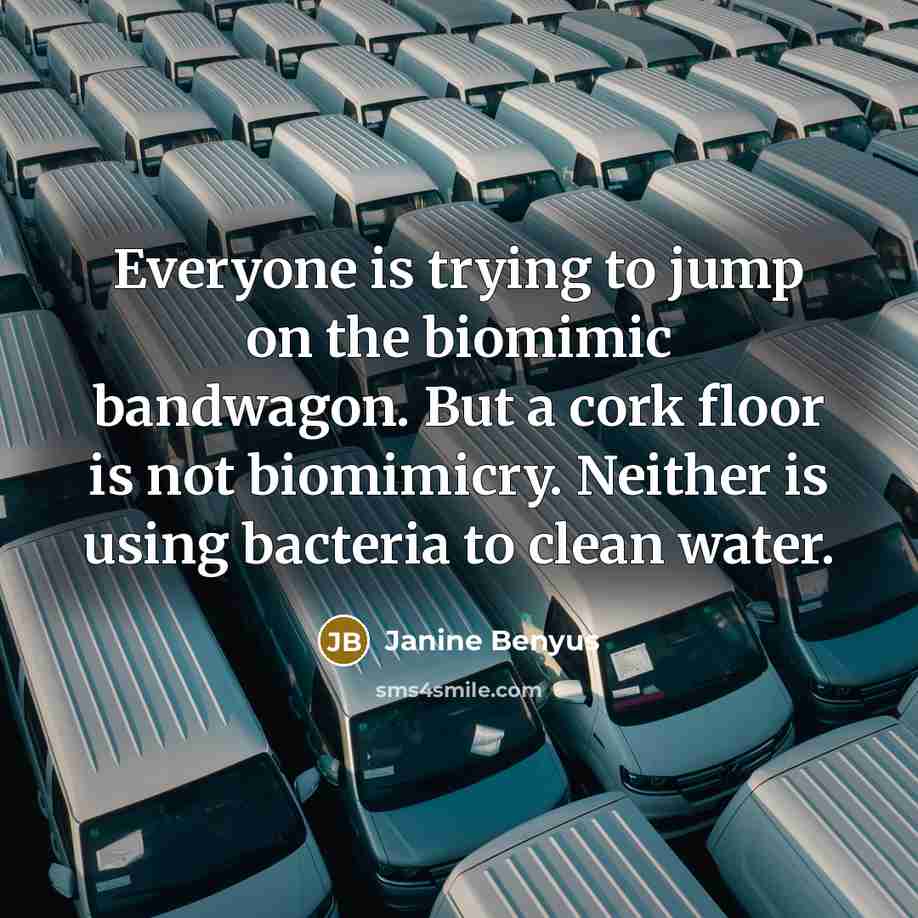 “Everyone is trying to jump on the biomimic bandwagon. But…” quote by Janine Benyus