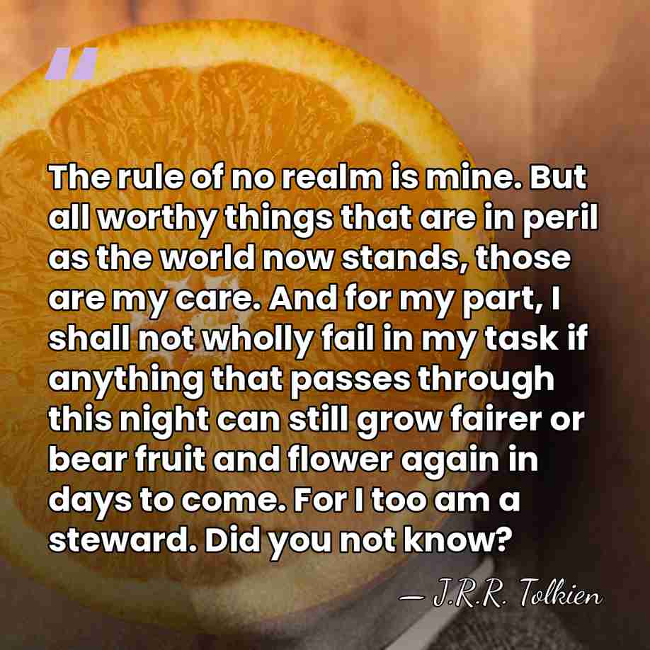 The rule of no realm is mine. But all worthy things that&hellip; - J.R.R. Tolkien