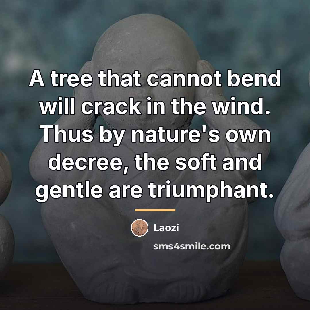 “A tree that cannot bend will crack in the wind.…” quote by Laozi