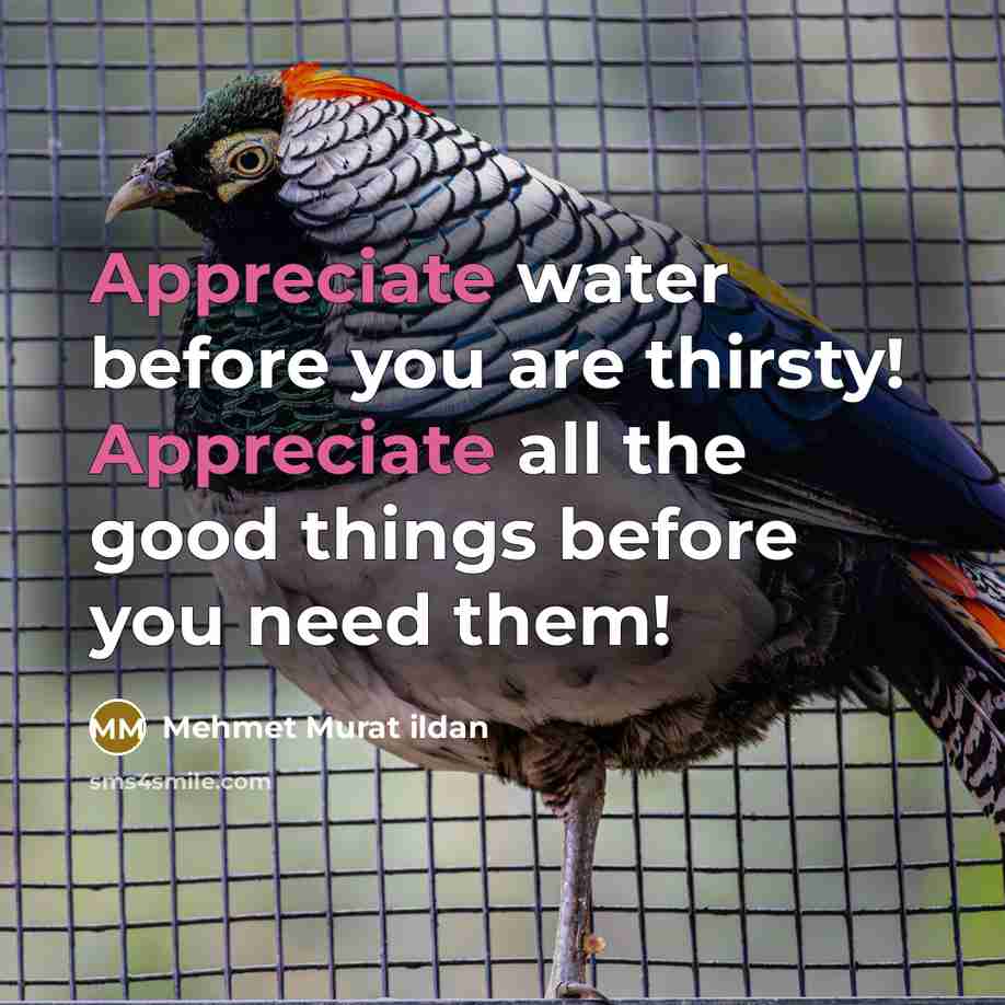 “Appreciate water before you are thirsty! Appreciate all the good…” quote by Mehmet Murat Ildan