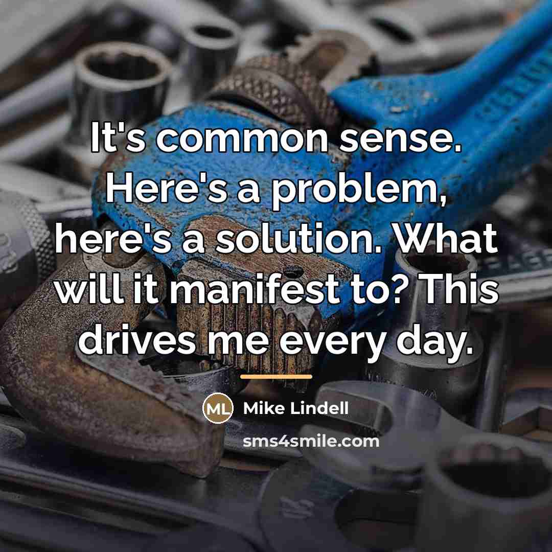 “It's common sense. Here's a problem, here's a solution. What…” quote by Mike Lindell
