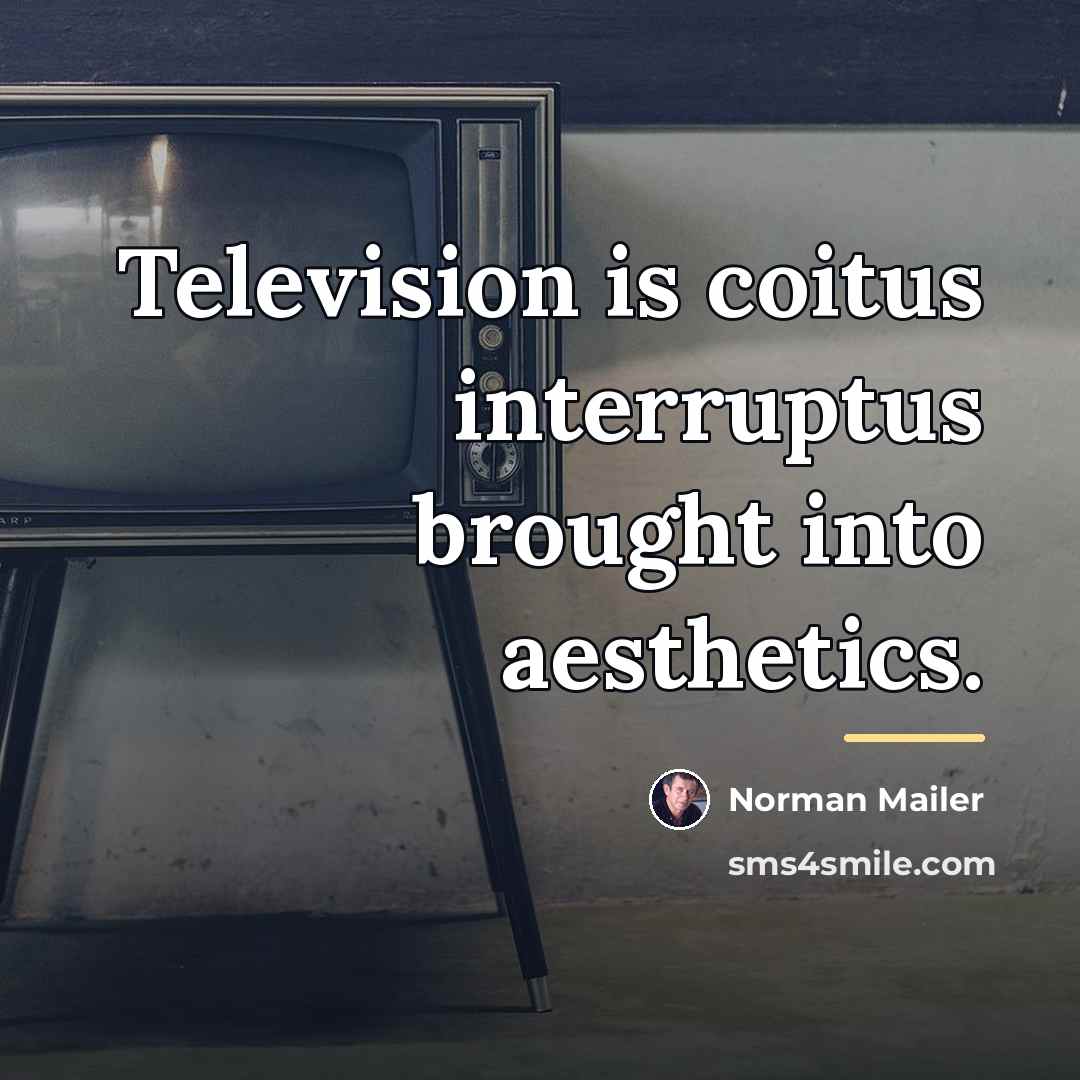 “Television is coitus interruptus brought into aesthetics.…” quote by Norman Mailer