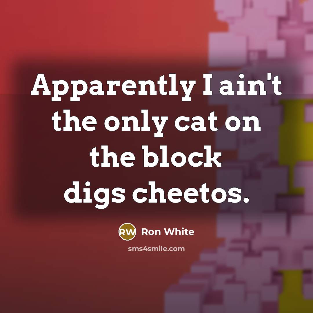 “Apparently I ain't the only cat on the block digs…” quote by Ron White