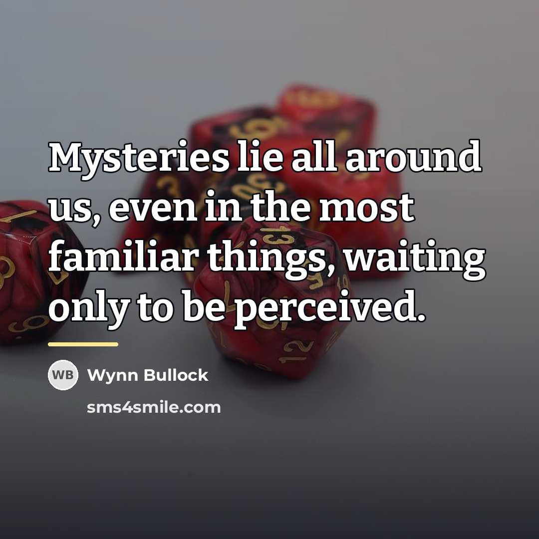 “Mysteries lie all around us, even in the most familiar…” quote by Wynn Bullock