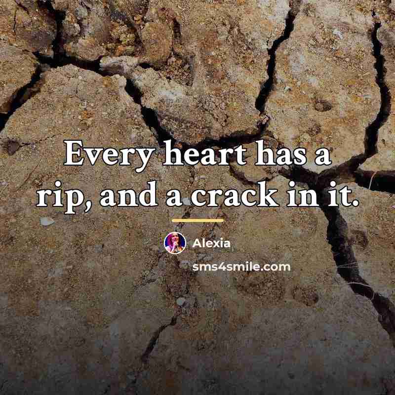 “Every heart has a rip, and a crack in it.…” quote by Alexia