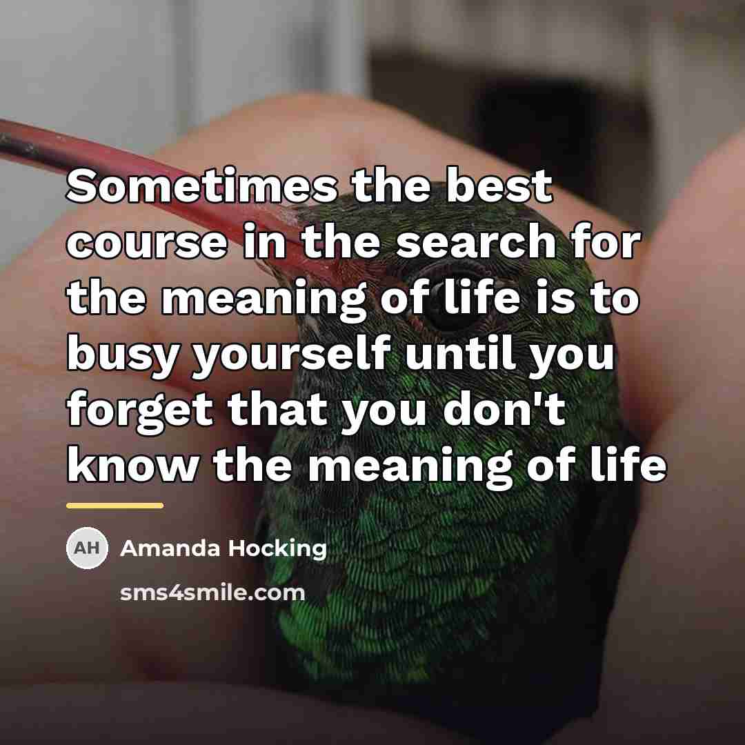 “Sometimes the best course in the search for the meaning…” quote by Amanda Hocking