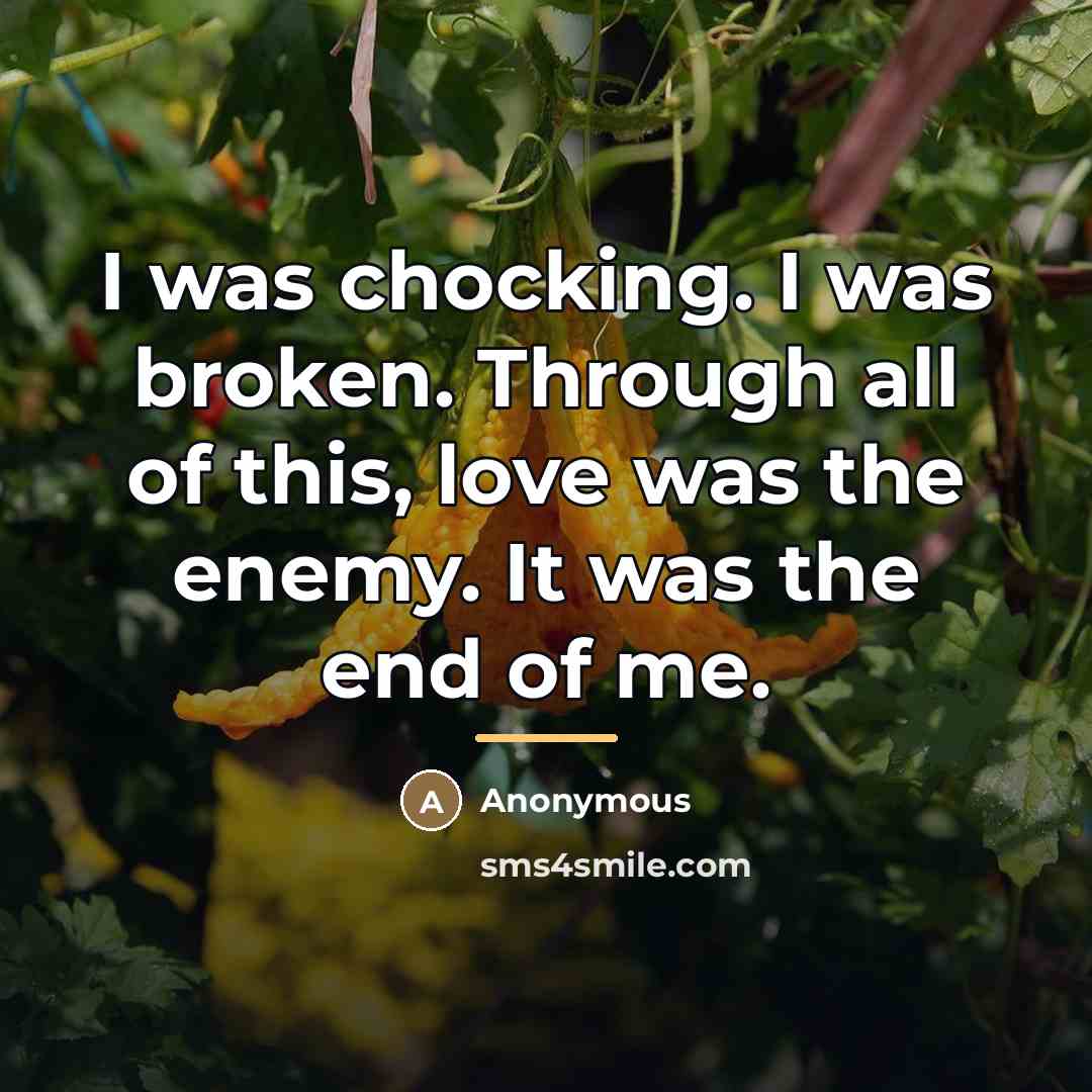“I was chocking. I was broken. Through all of this,…” quote by Anonymous