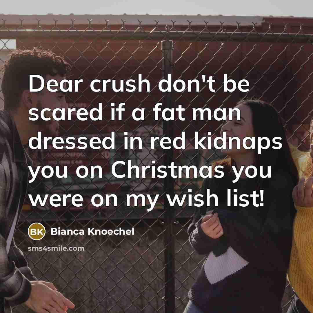 “Dear crush don't be scared if a fat man dressed in red kidnaps you on Christmas you were on my wish list!” quote by Bianca Knoechel