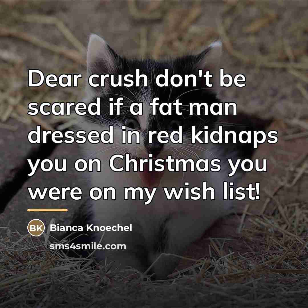 “Dear crush don't be scared if a fat man dressed…” quote by Bianca Knoechel