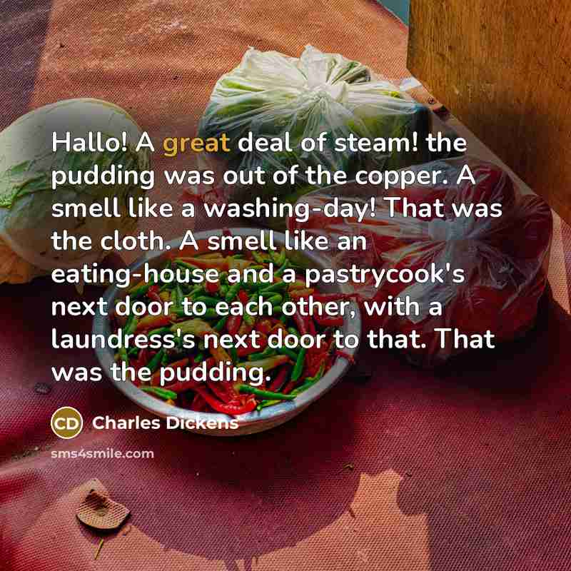 “Hallo! A great deal of steam! the pudding was out…” quote by Charles Dickens
