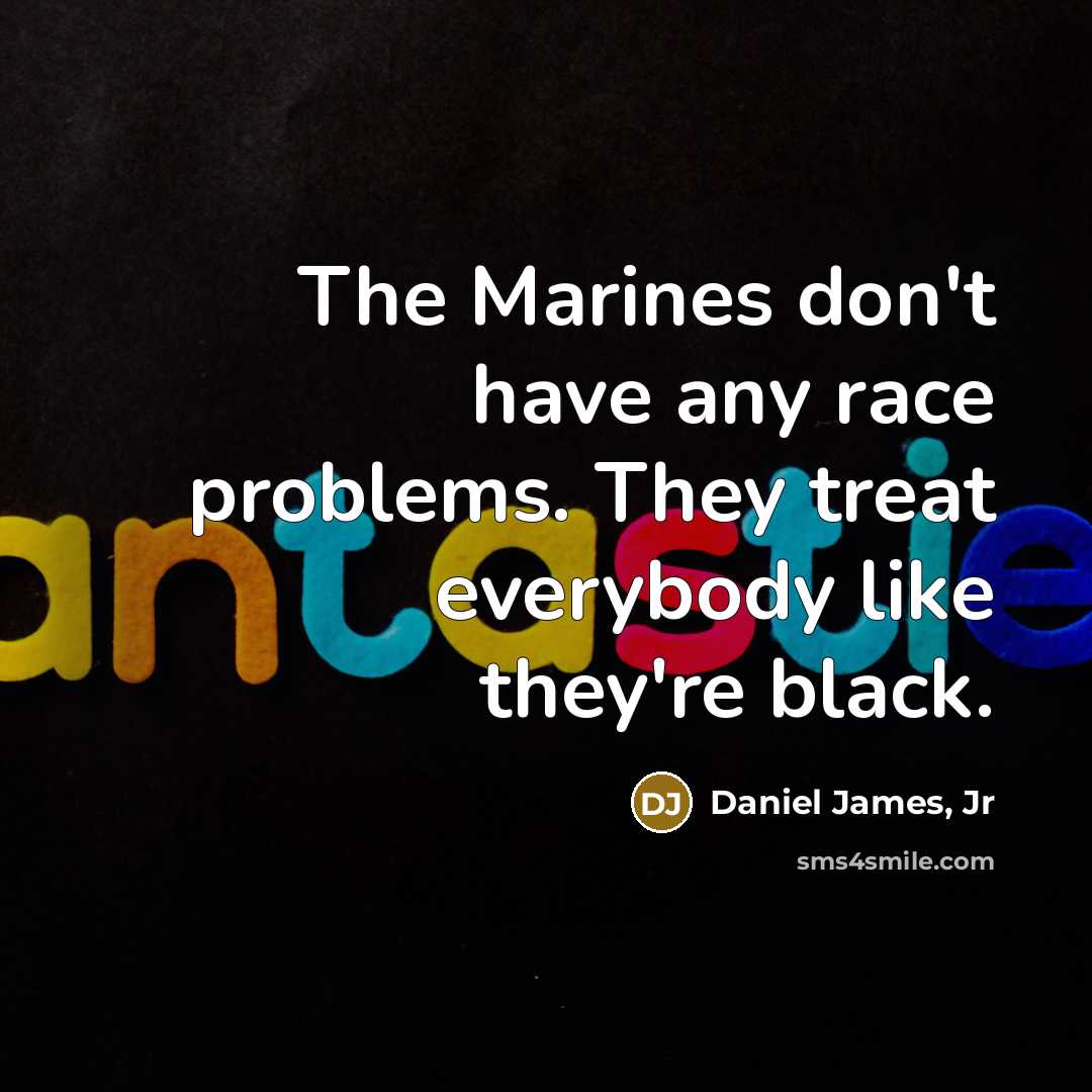 “The Marines don't have any race problems. They treat everybody…” quote by Daniel James, Jr