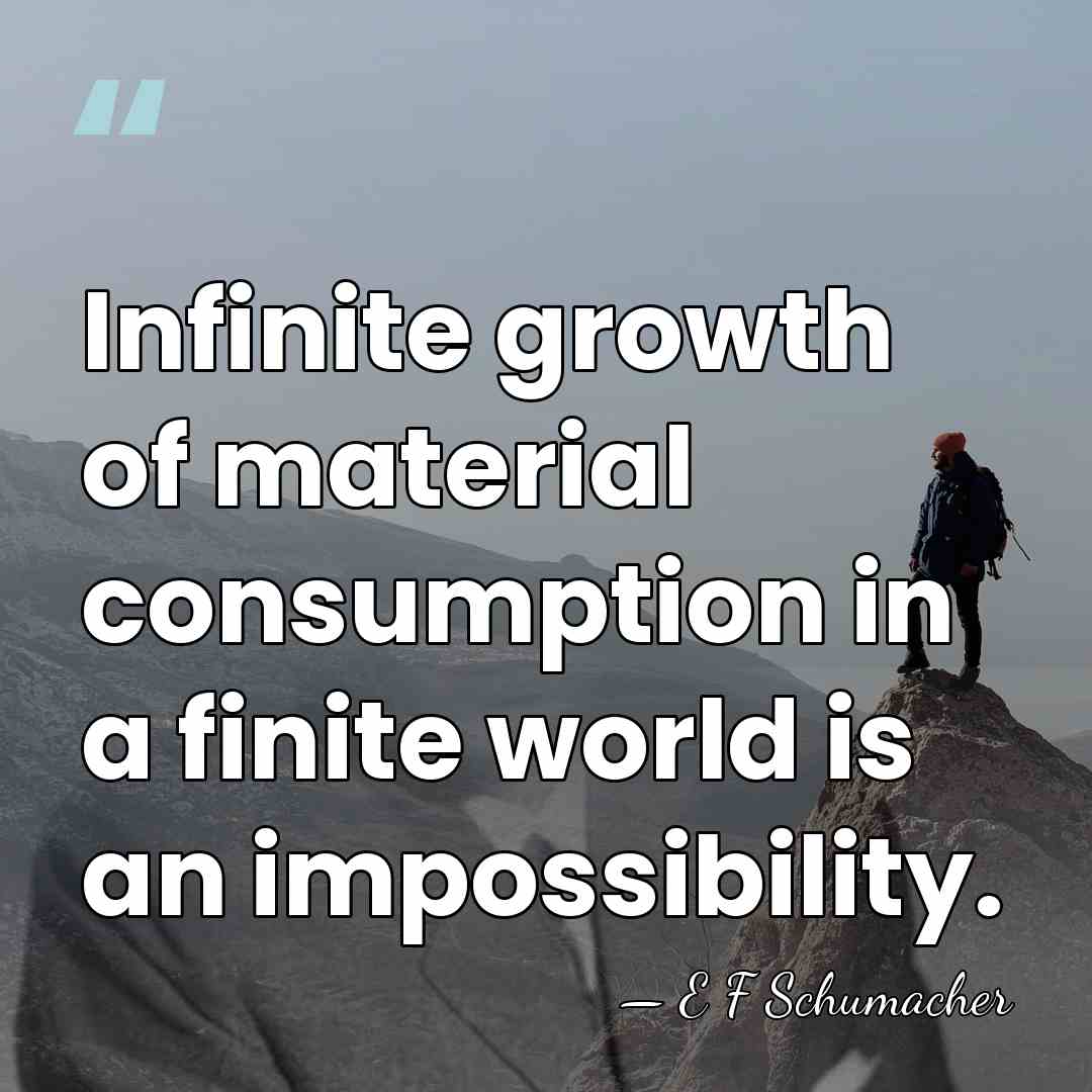 Infinite growth of material consumption in a finite world is an impossibility. - E F Schumacher