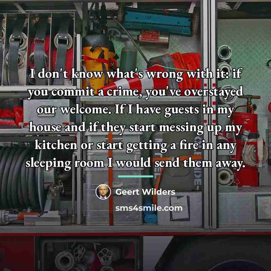 “I don't know what's wrong with it: if you commit…” quote by Geert Wilders