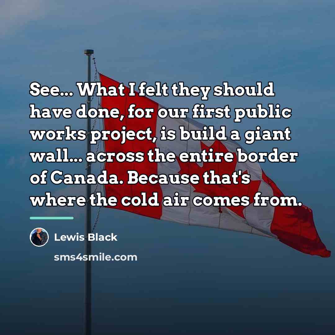 “See... What I felt they should have done, for our…” quote by Lewis Black
