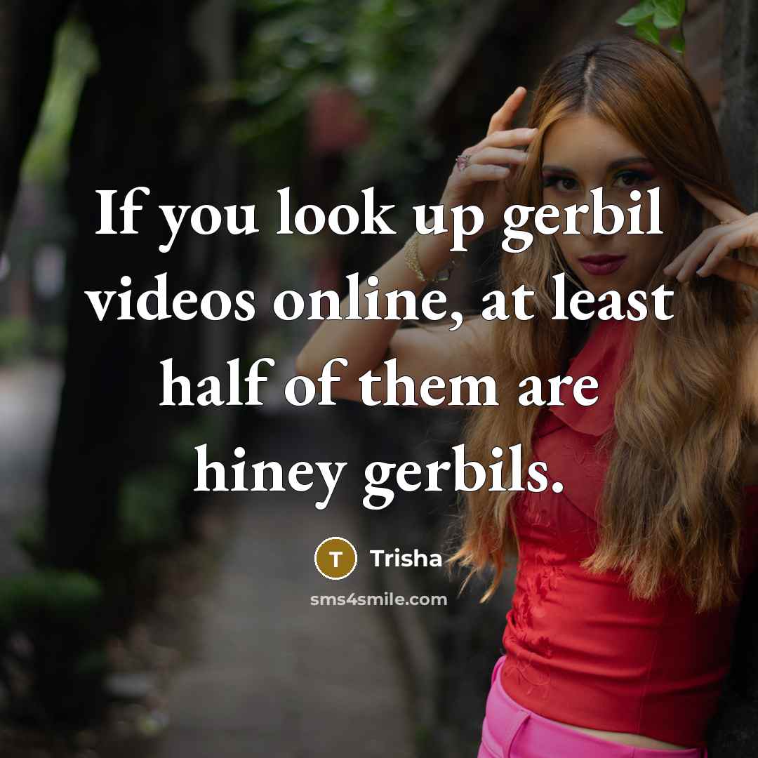 “If you look up gerbil videos online, at least half…” quote by Trisha