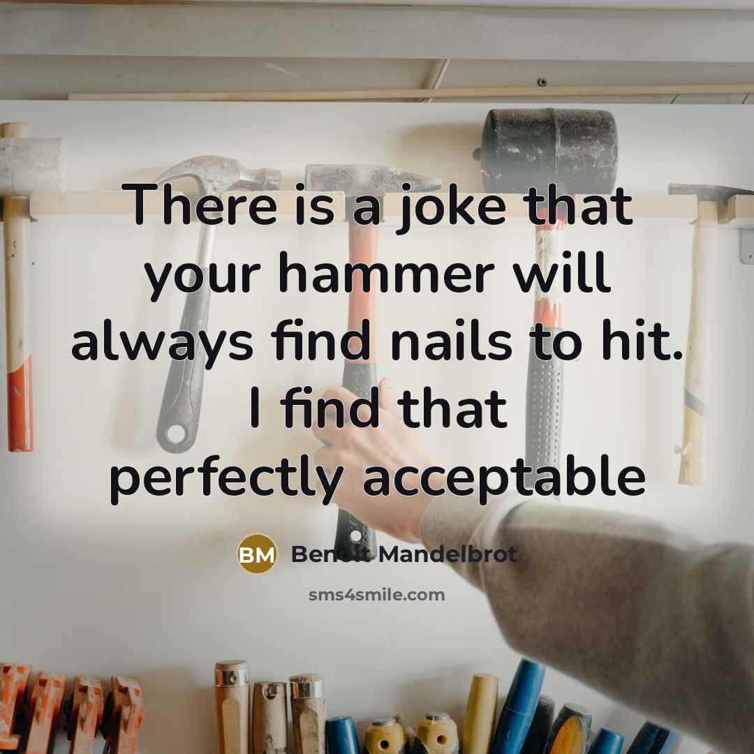 “There is a joke that your hammer will always find…” quote by Benoit Mandelbrot