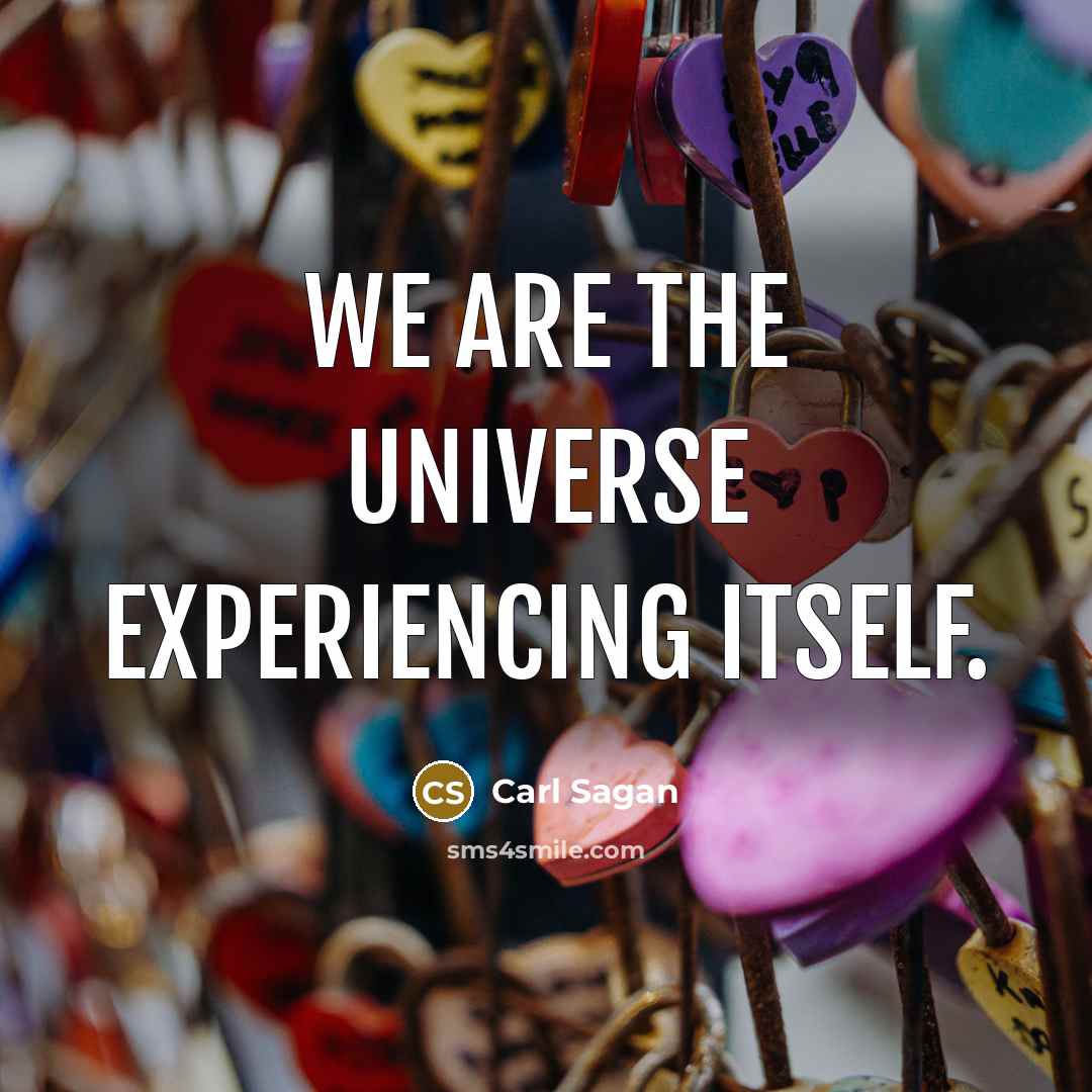 “We are the universe experiencing itself.” quote by Carl Sagan