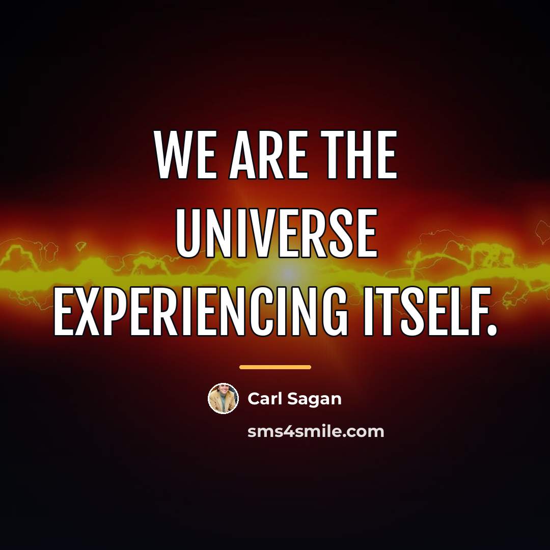 “We are the universe experiencing itself.…” quote by Carl Sagan
