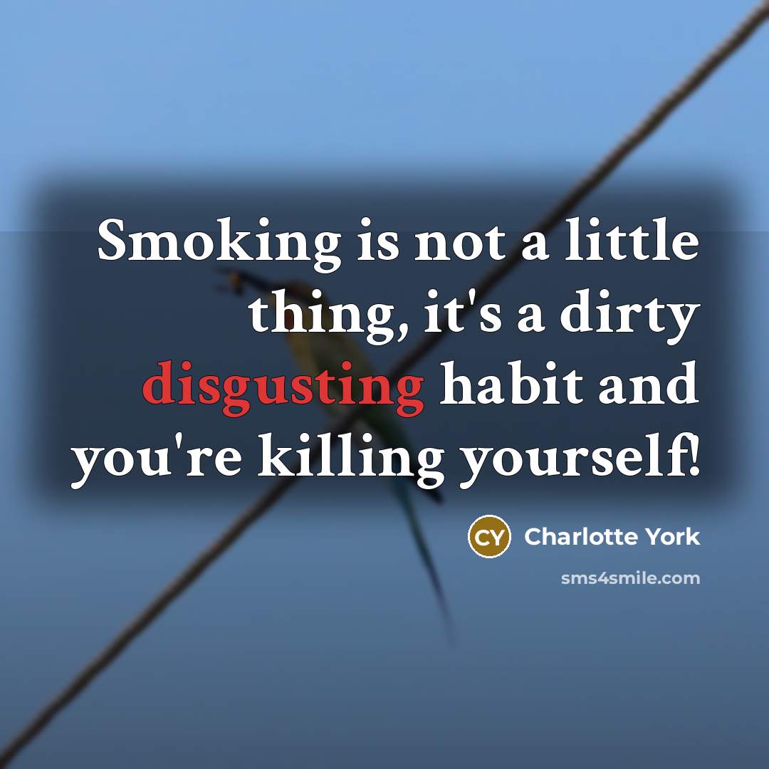 “Smoking is not a little thing, it's a dirty disgusting…” quote by Charlotte York