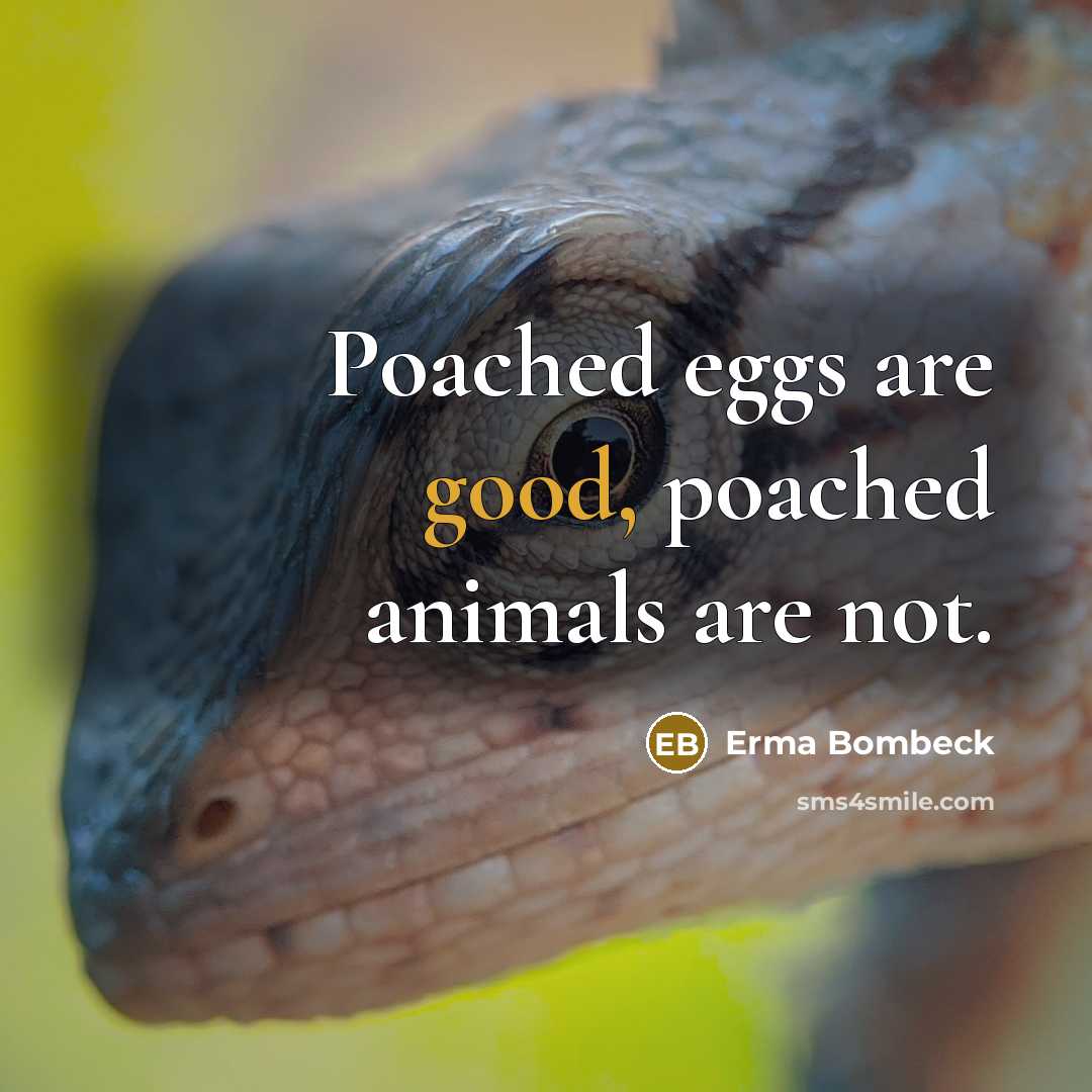 “Poached eggs are good, poached animals are not.…” quote by Erma Bombeck