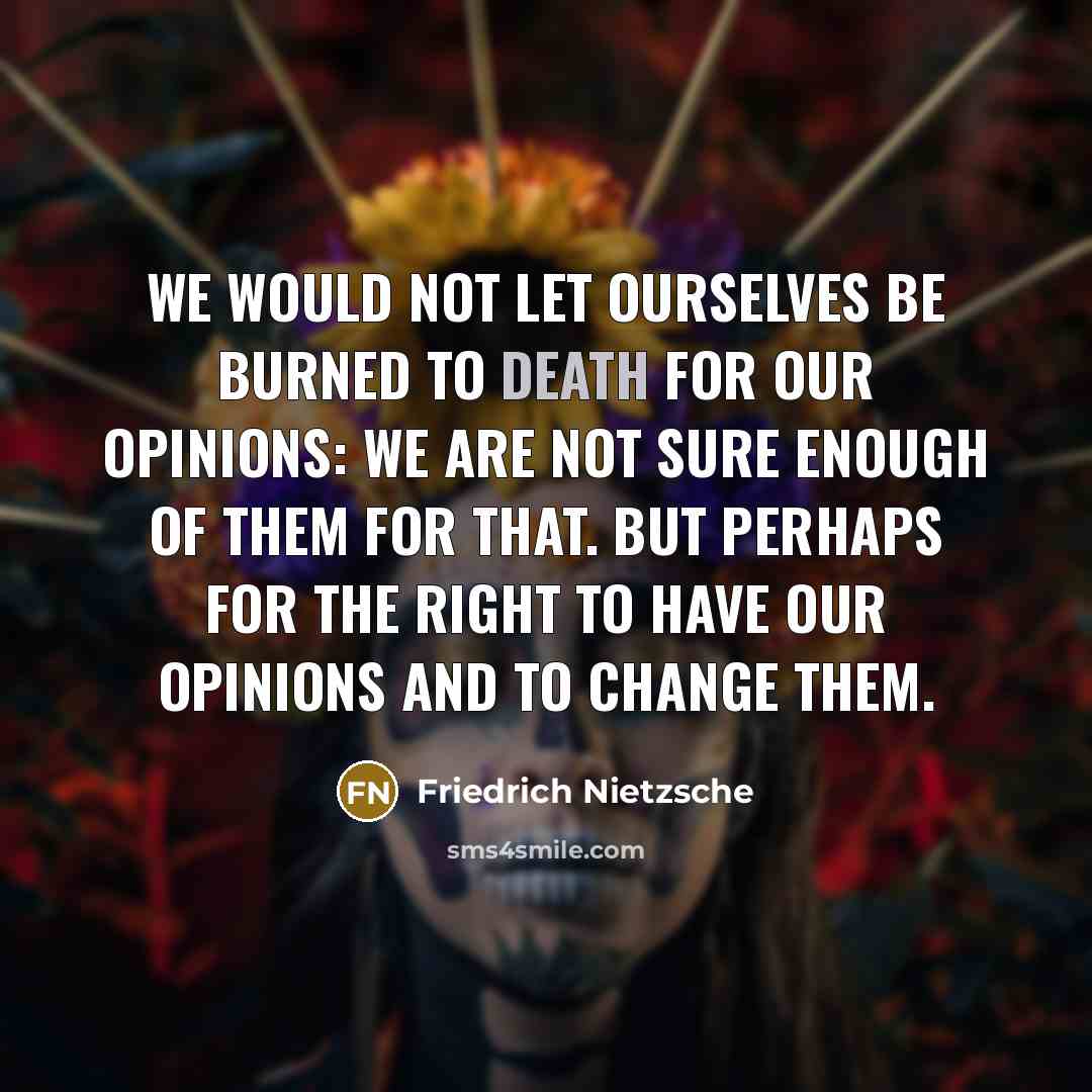 “We would not let ourselves be burned to death for…” quote by Friedrich Nietzsche