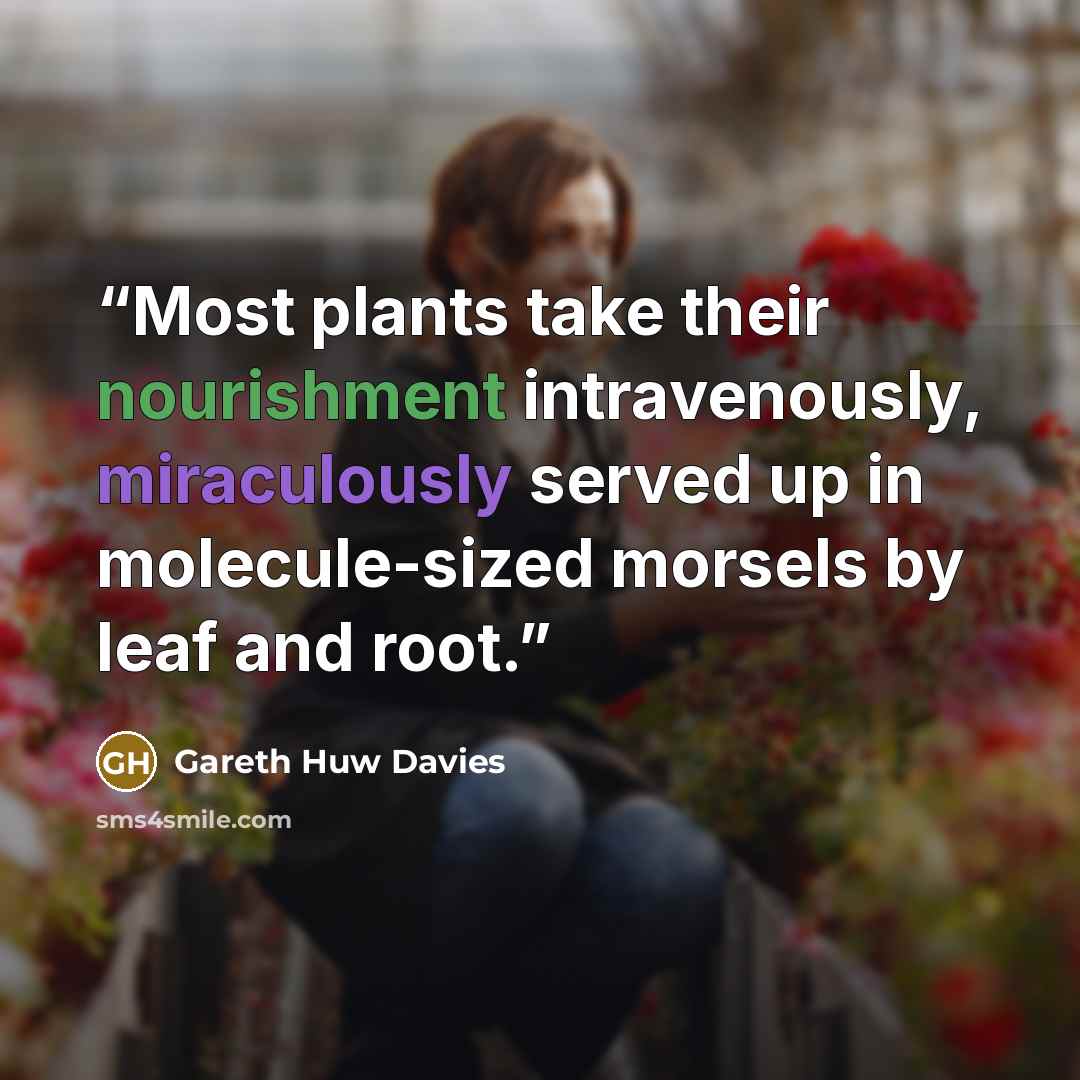 “Most plants take their nourishment intravenously, miraculously served up in molecule-sized morsels by leaf and root.” quote by Gareth Huw Davies