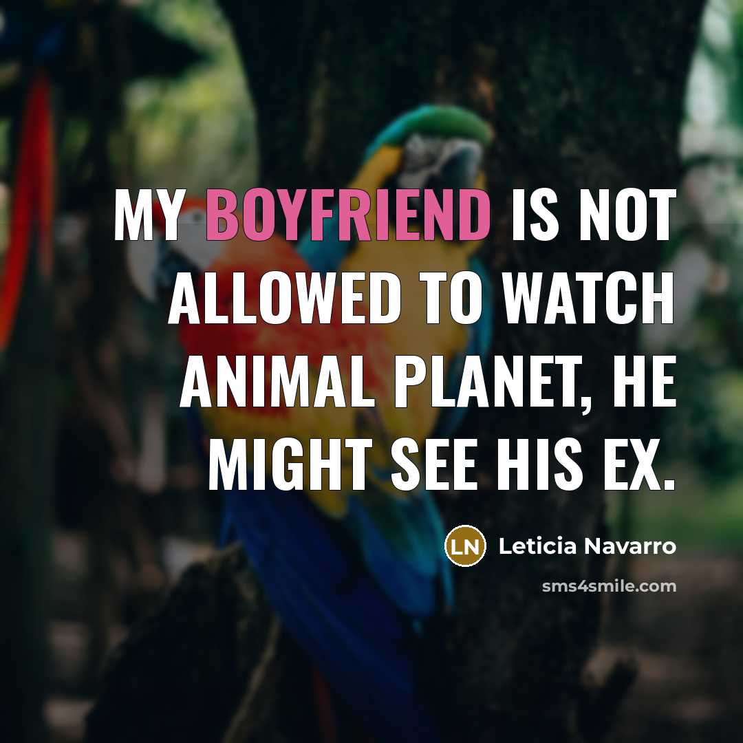 “My Boyfriend Is Not Allowed To watch Animal Planet, he…” quote by Leticia Navarro