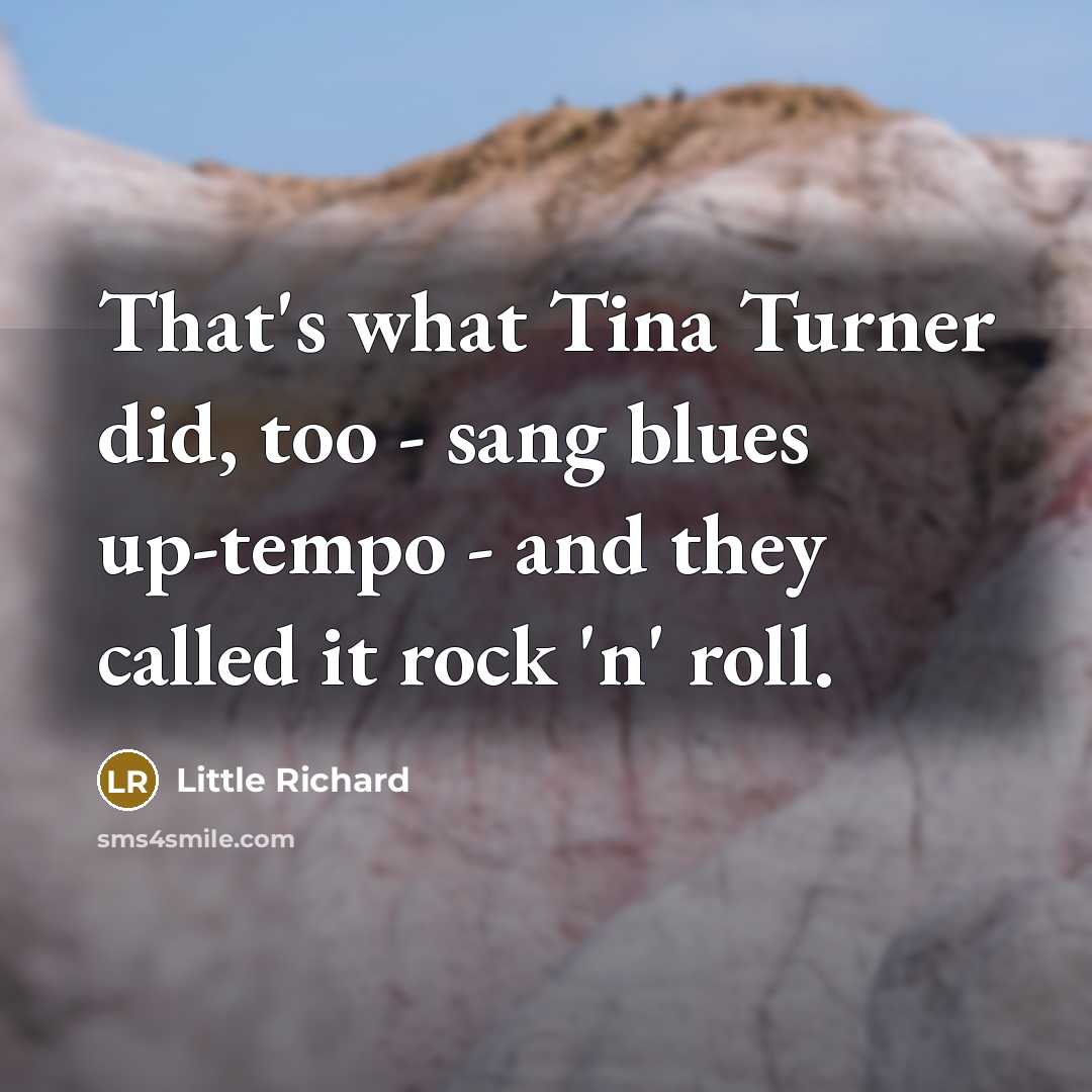 “That's what Tina Turner did, too - sang blues up-tempo…” quote by Little Richard