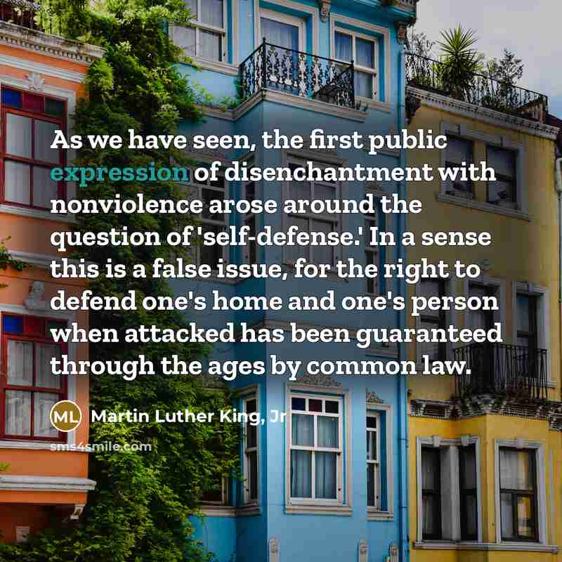 “As we have seen, the first public expression of disenchantment…” quote by Martin Luther King, Jr