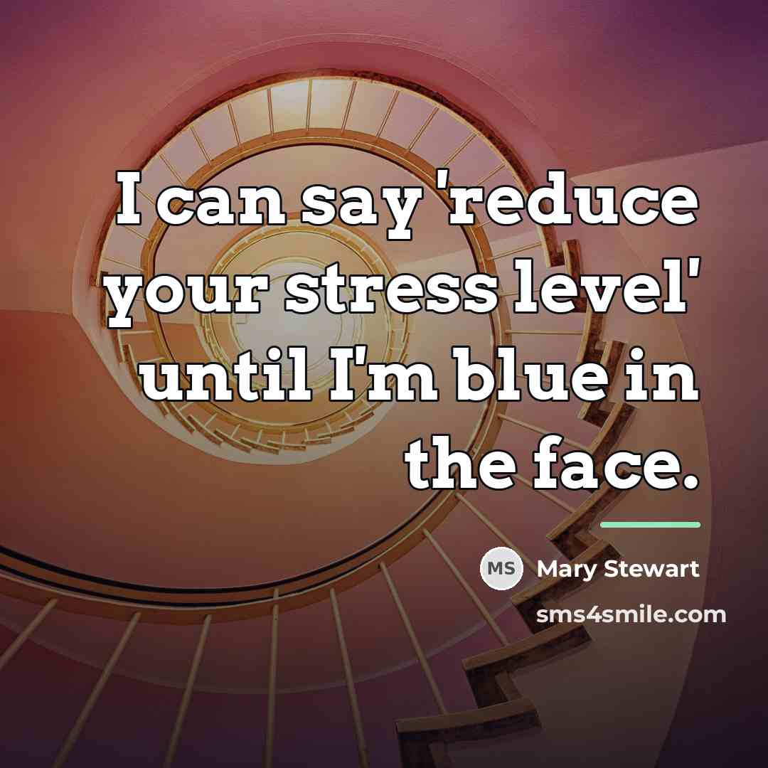 “I can say 'reduce your stress level' until I'm blue…” quote by Mary Stewart