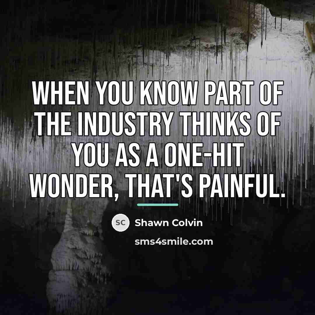 “When you know part of the industry thinks of you…” quote by Shawn Colvin