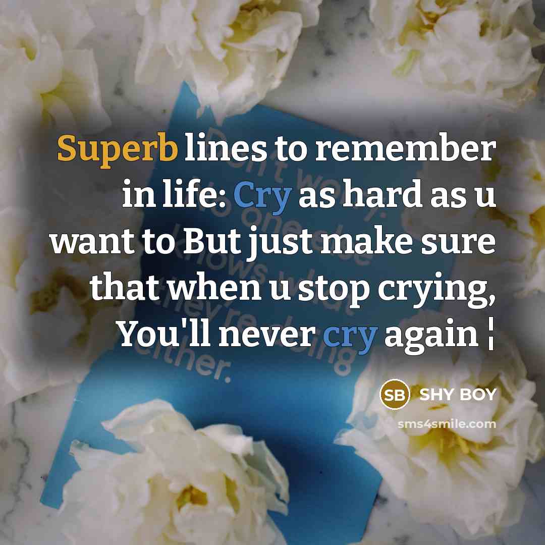 “Superb lines to remember in life: Cry as hard as…” quote by Shy Boy