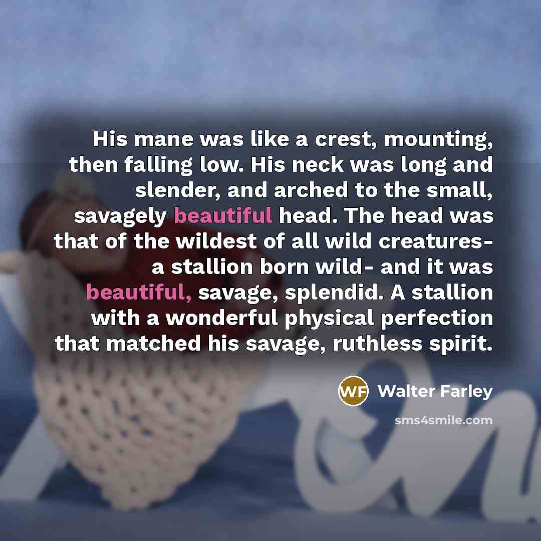 “His mane was like a crest, mounting, then falling low.…” quote by Walter Farley