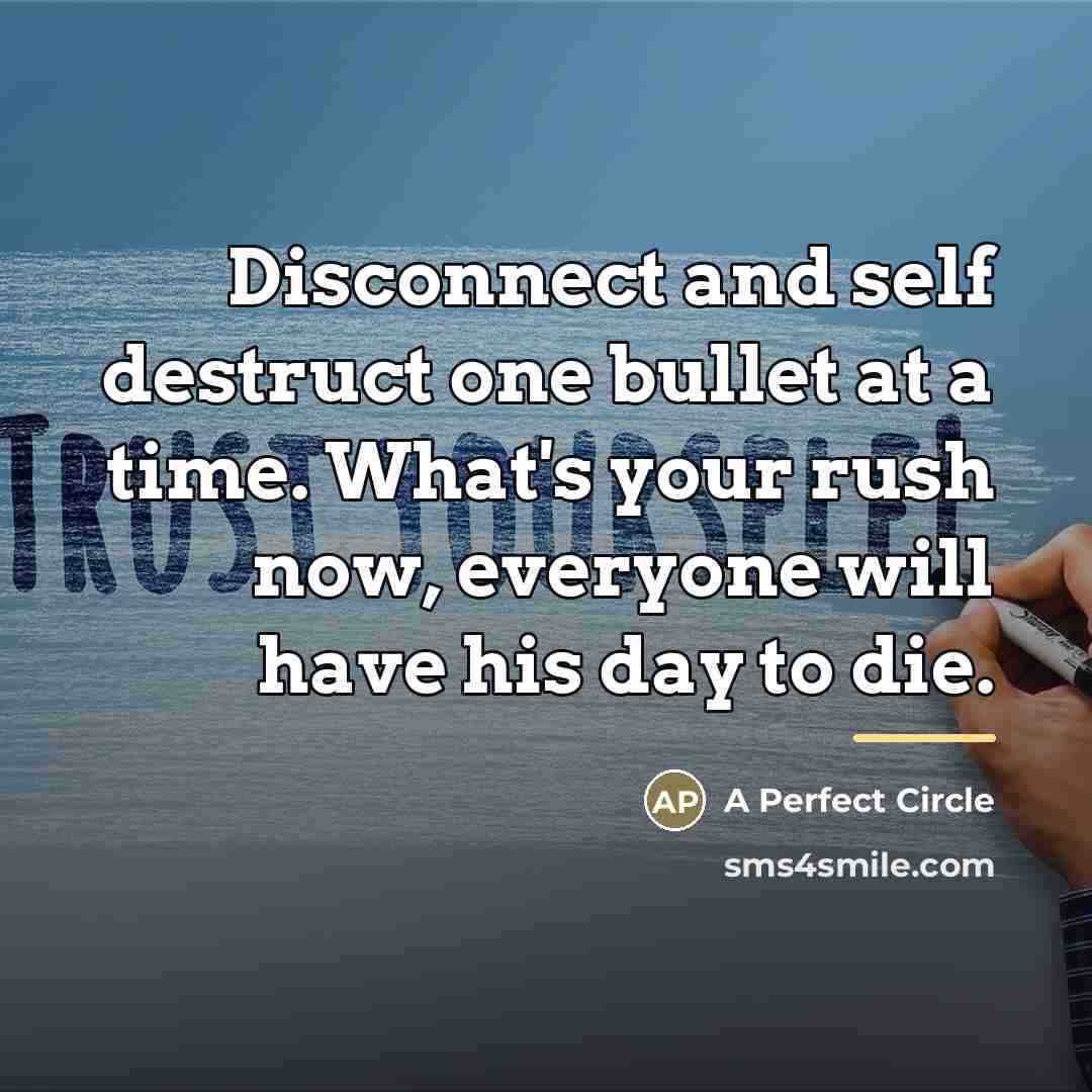 “Disconnect and self destruct one bullet at a time. What's…” quote by A Perfect Circle