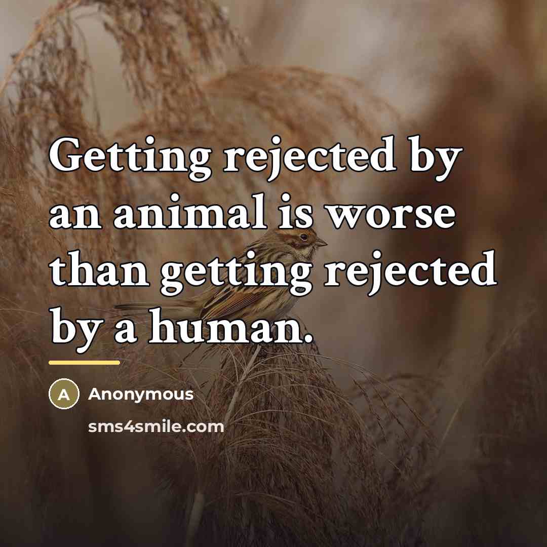 “Getting rejected by an animal is worse than getting rejected…” quote by Anonymous
