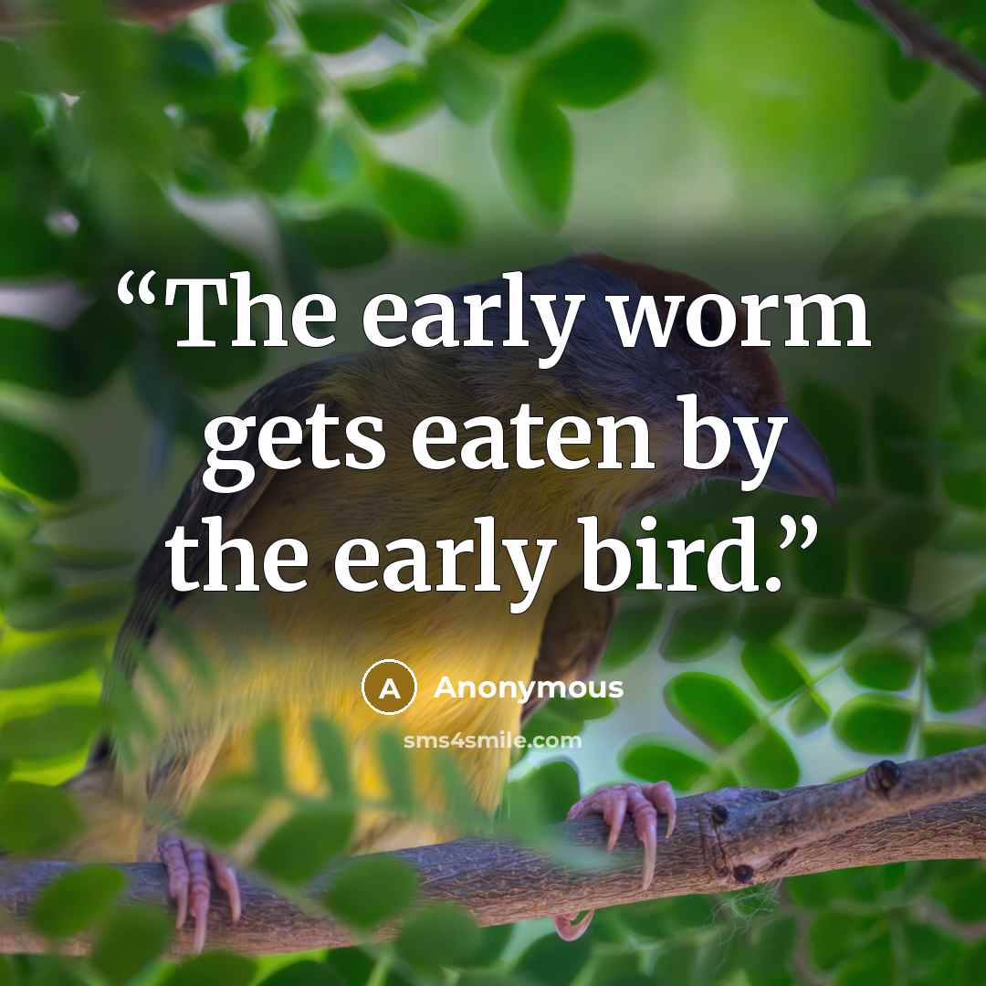 “The early worm gets eaten by the early bird.” quote by Anonymous